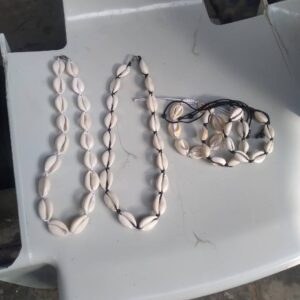 Shell necklace and bracelet